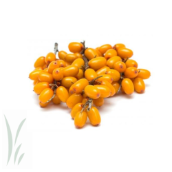 Organic Sea Buckthorn Berries, Frozen / lb